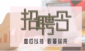服務(wù)商戶，致力發(fā)展—安徽分公司合肥濱湖店攜手優(yōu)質(zhì)商戶人才招聘會 