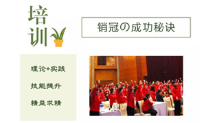 思維營(yíng)銷，終端為王——安徽分公司合肥濱湖店銷售精英培訓(xùn) 